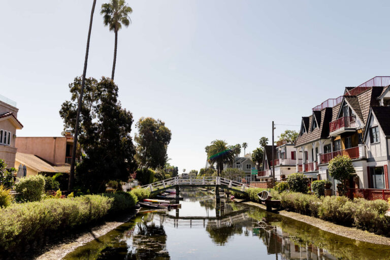 Venice Beach Canals in California with homes to the right and palm trees to the left.