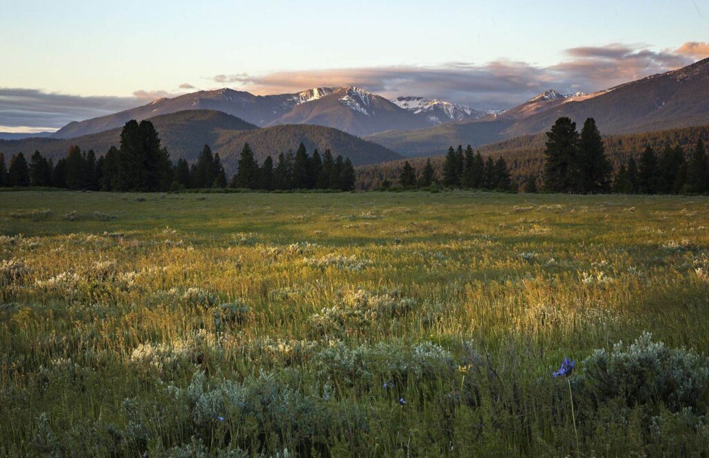 Wallowas, Joseph, oregon, mountains and a field.