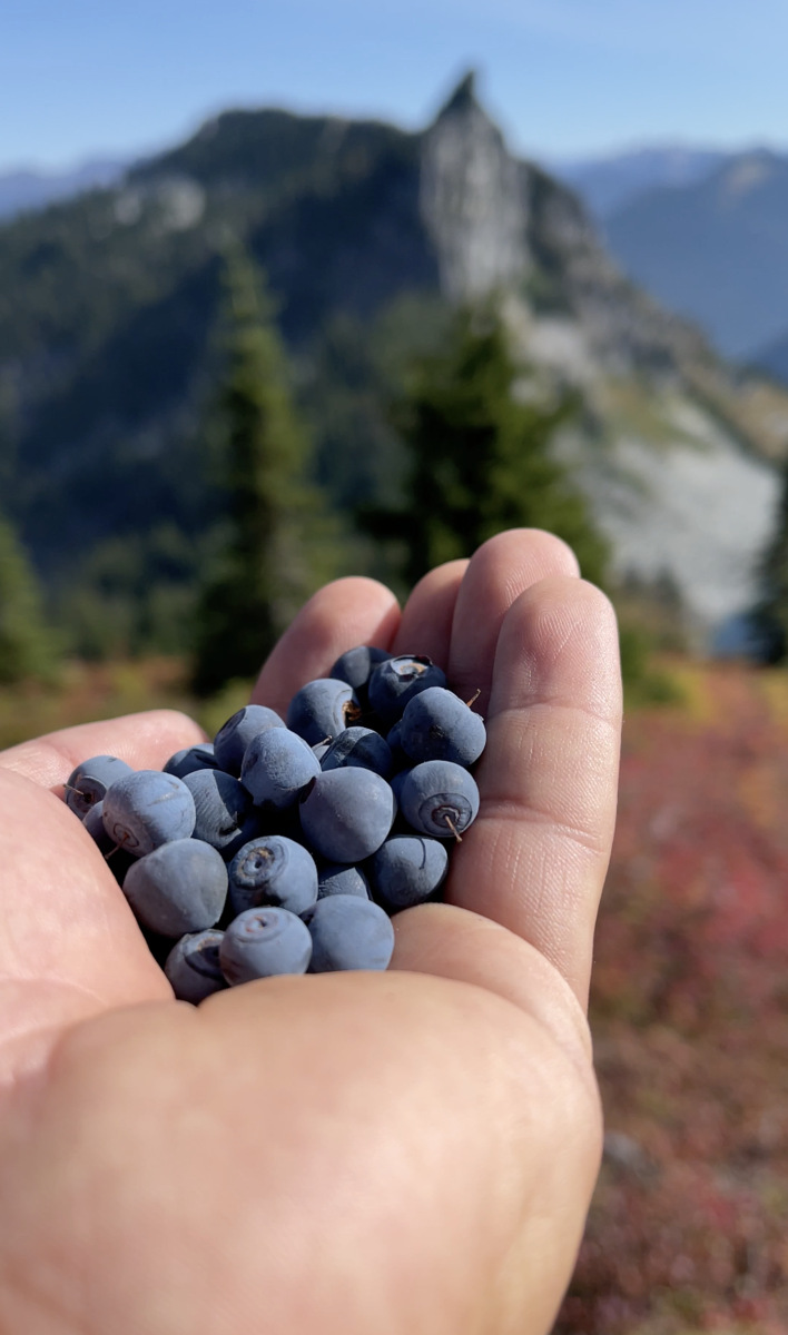 Garrett holding huckleberries.