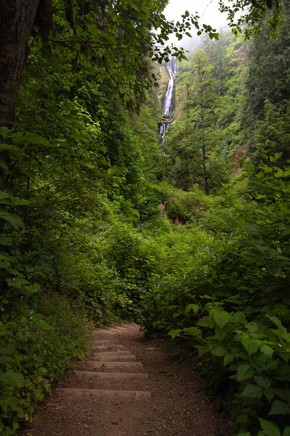 Munson Creek Falls with stairs leading down to it.