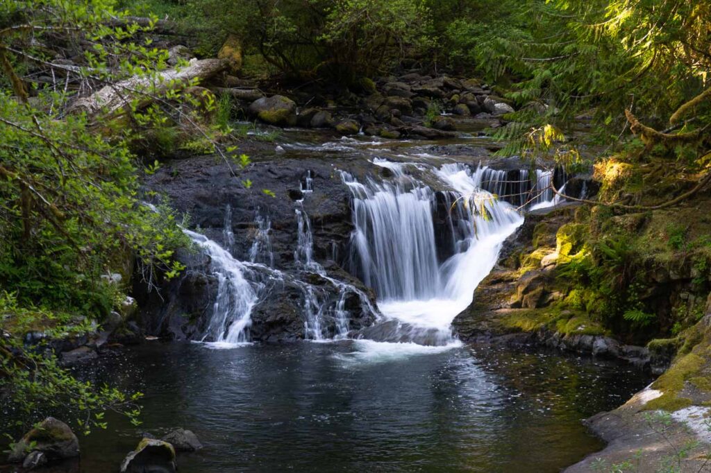 small cascade along the trail of Sweet Creek.