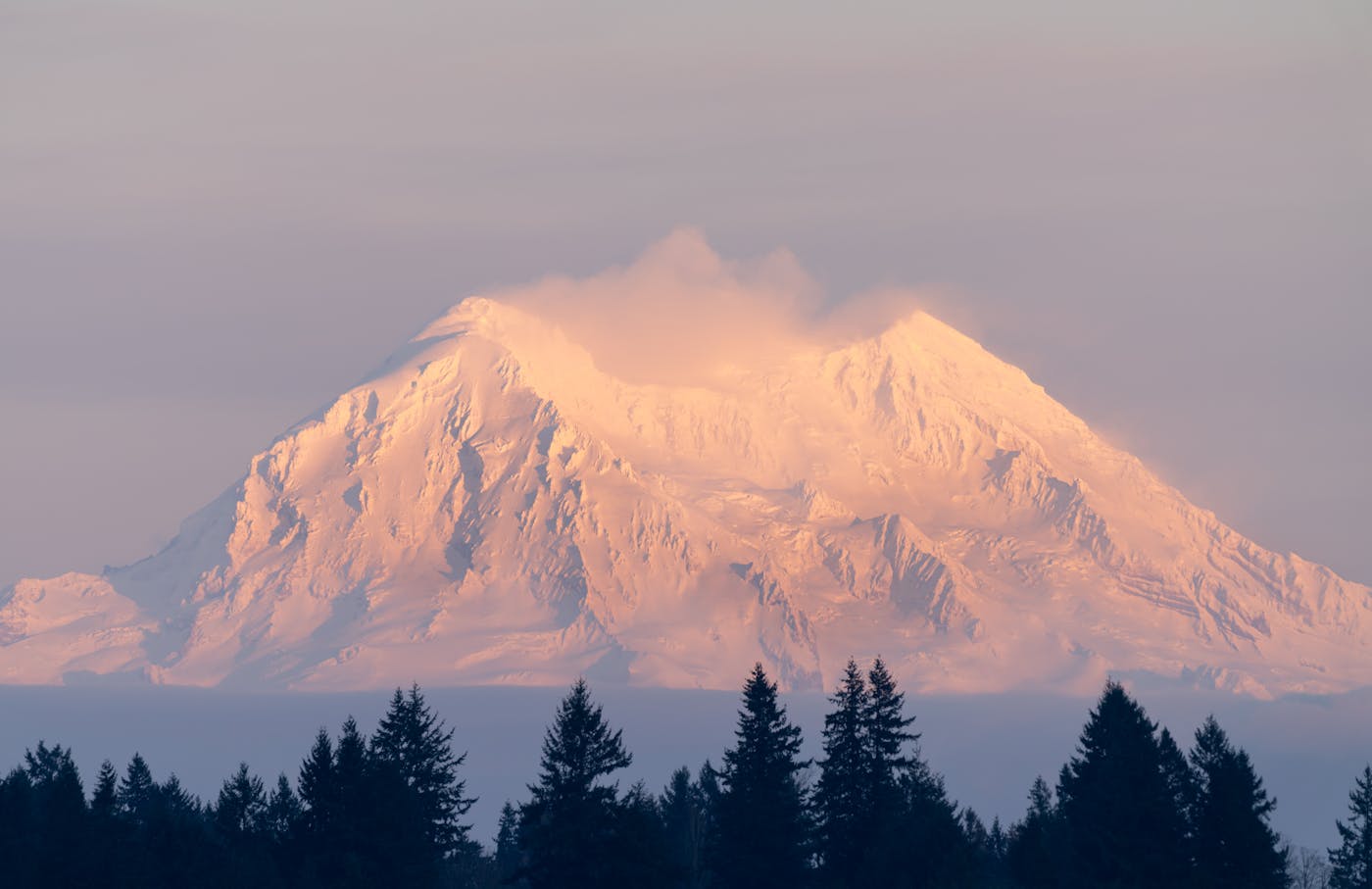 Captivating view of Mount Rainier covered in snow, highlighted by the soft glow of sunset, creating a peaceful winter landscape.