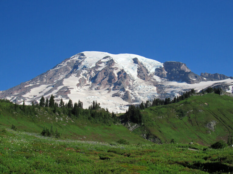 Oregon’s best-known wildflower meadow is closed for the rest of 2026. Washington and California picked up the slack.