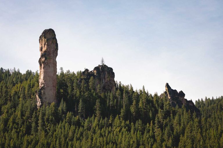 Check Out The Ochoco National Forest in Oregon