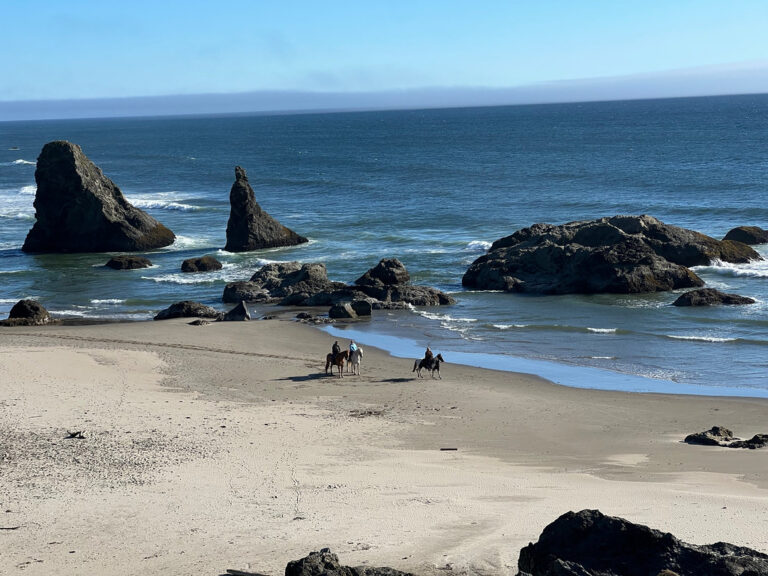 One of these West Coast beach horseback rides costs $30, one costs $170 — the price won’t tell you which one you’ll remember