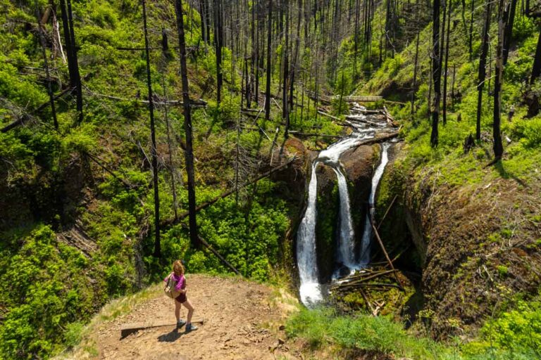 This Oregon Hike Hasn’t Been The Same Since The Fires—But You’re Missing Out!