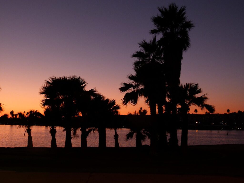 san diego, sunset, palms, nature, water, pacific, usa, california