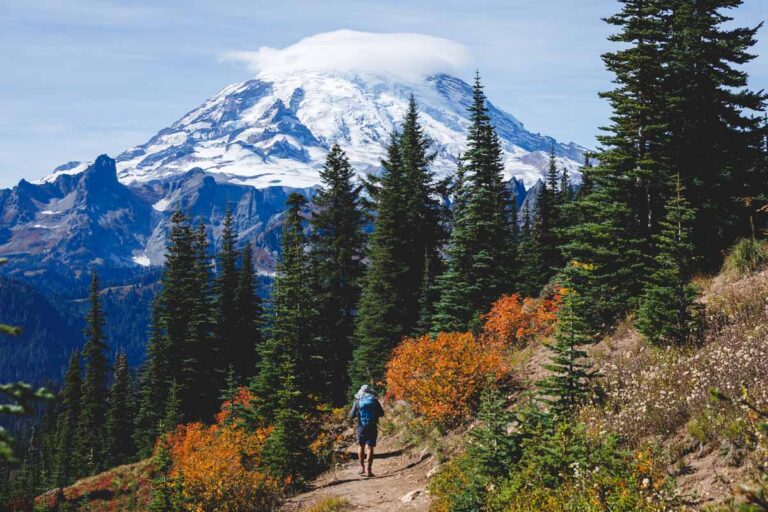15 Epic Hikes in Mount Rainier National Park, Washington