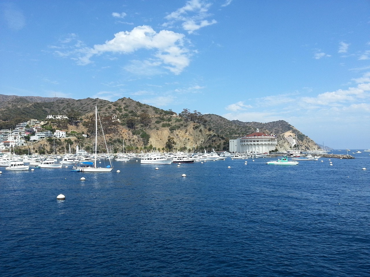 catalina island, california, island, vacation, catalina island, catalina island, catalina island, catalina island, catalina island, california, california