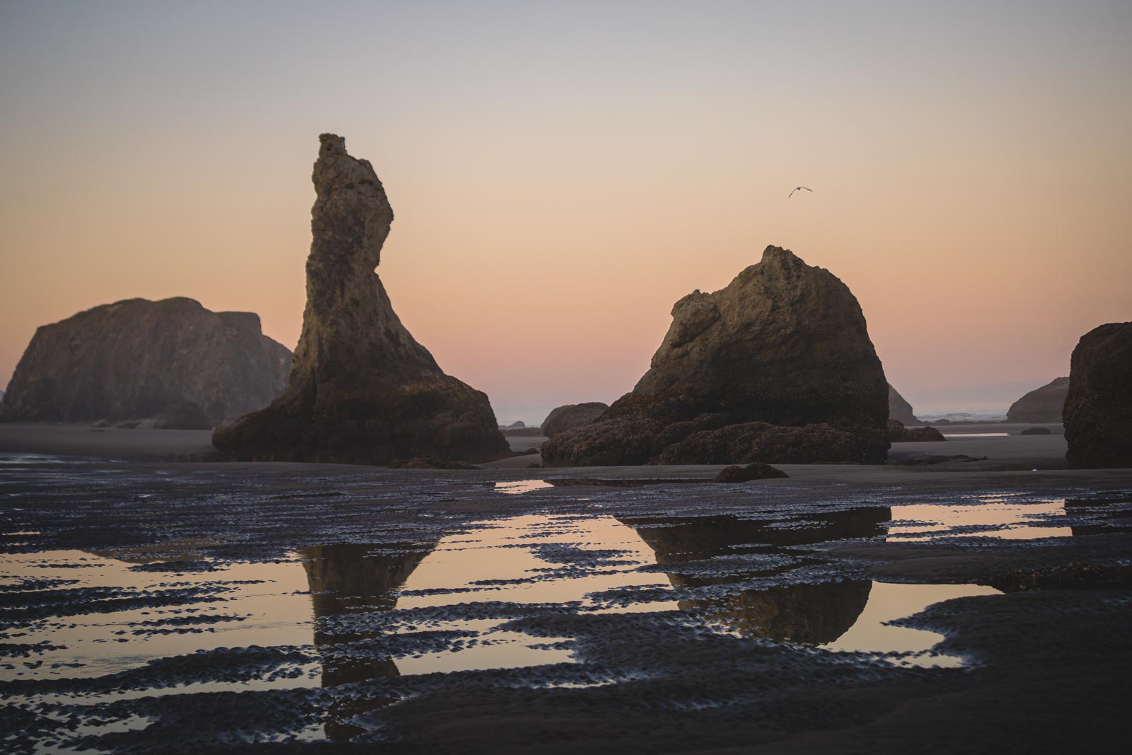 Wizard's Hat sea stack on Bandon Beach with reflections in the wet sand at sunset