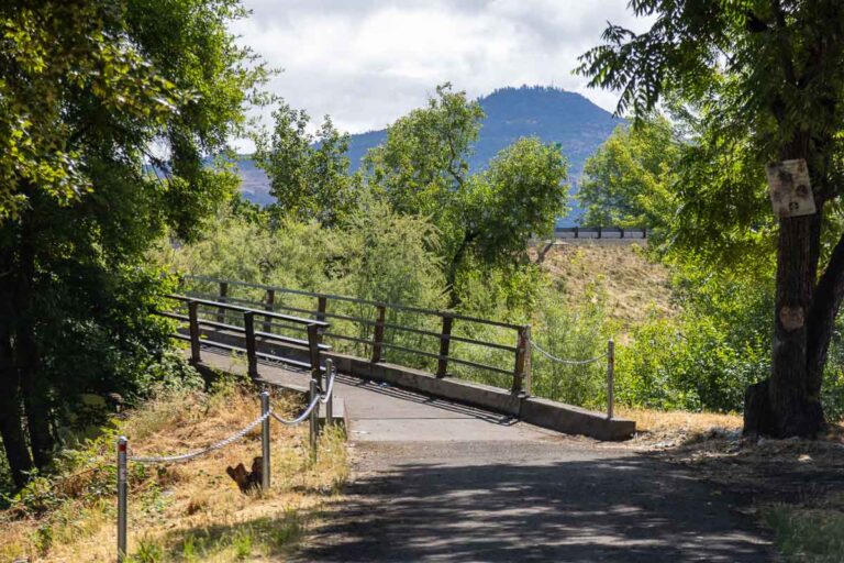 Cyclists riding a paved rail-trail through Oregon