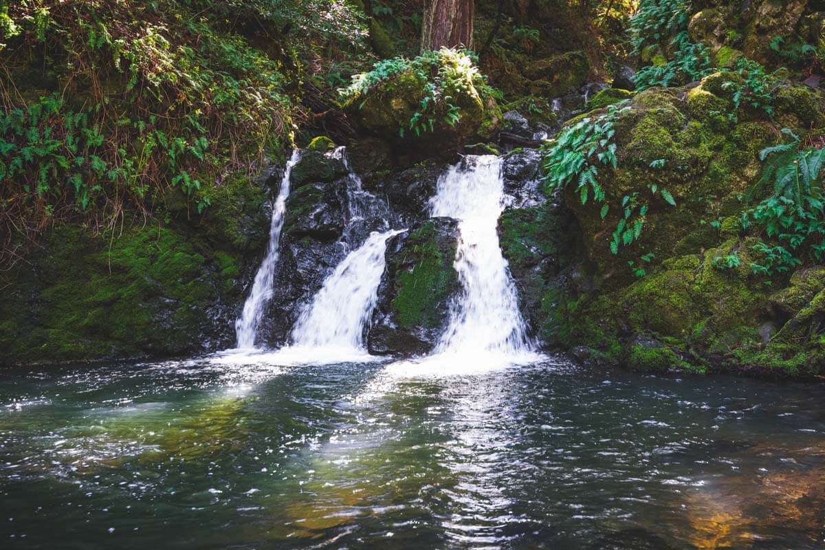 Cataract Falls tumbling through the redwood canyon on Mount Tamalpais