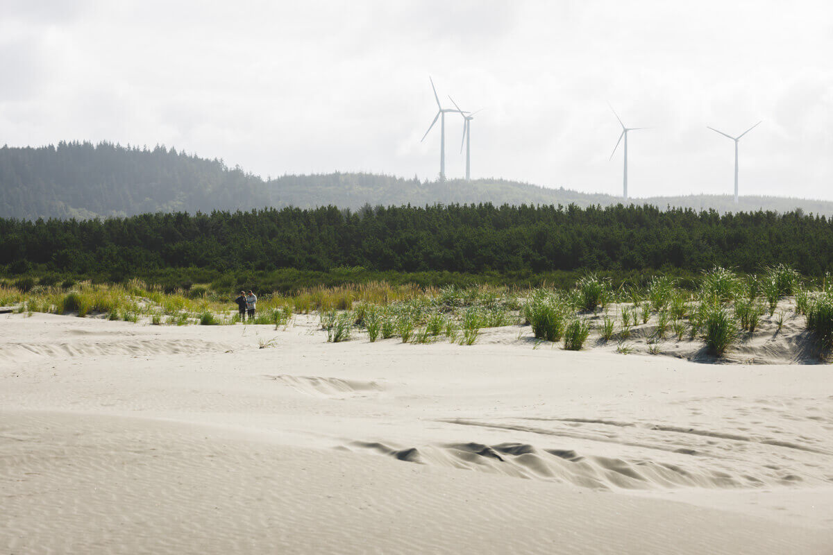 Grayland Beach State Park near the cranberry bogs of Grayland, Washington