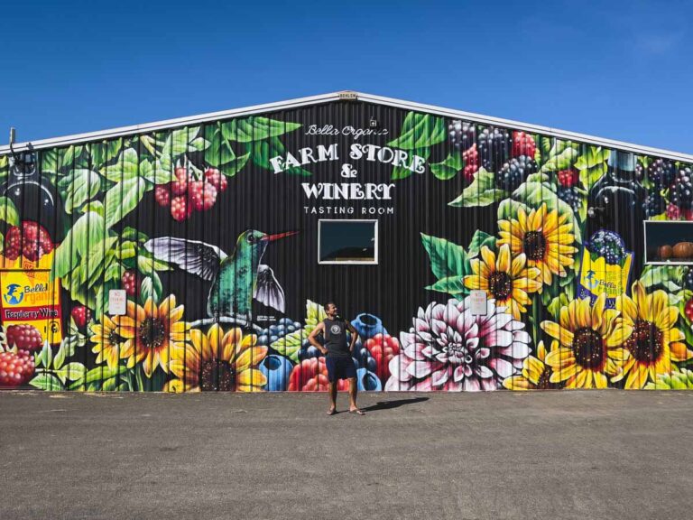 Barn mural at Bella Organic U-Pick Farm on Sauvie Island, Oregon