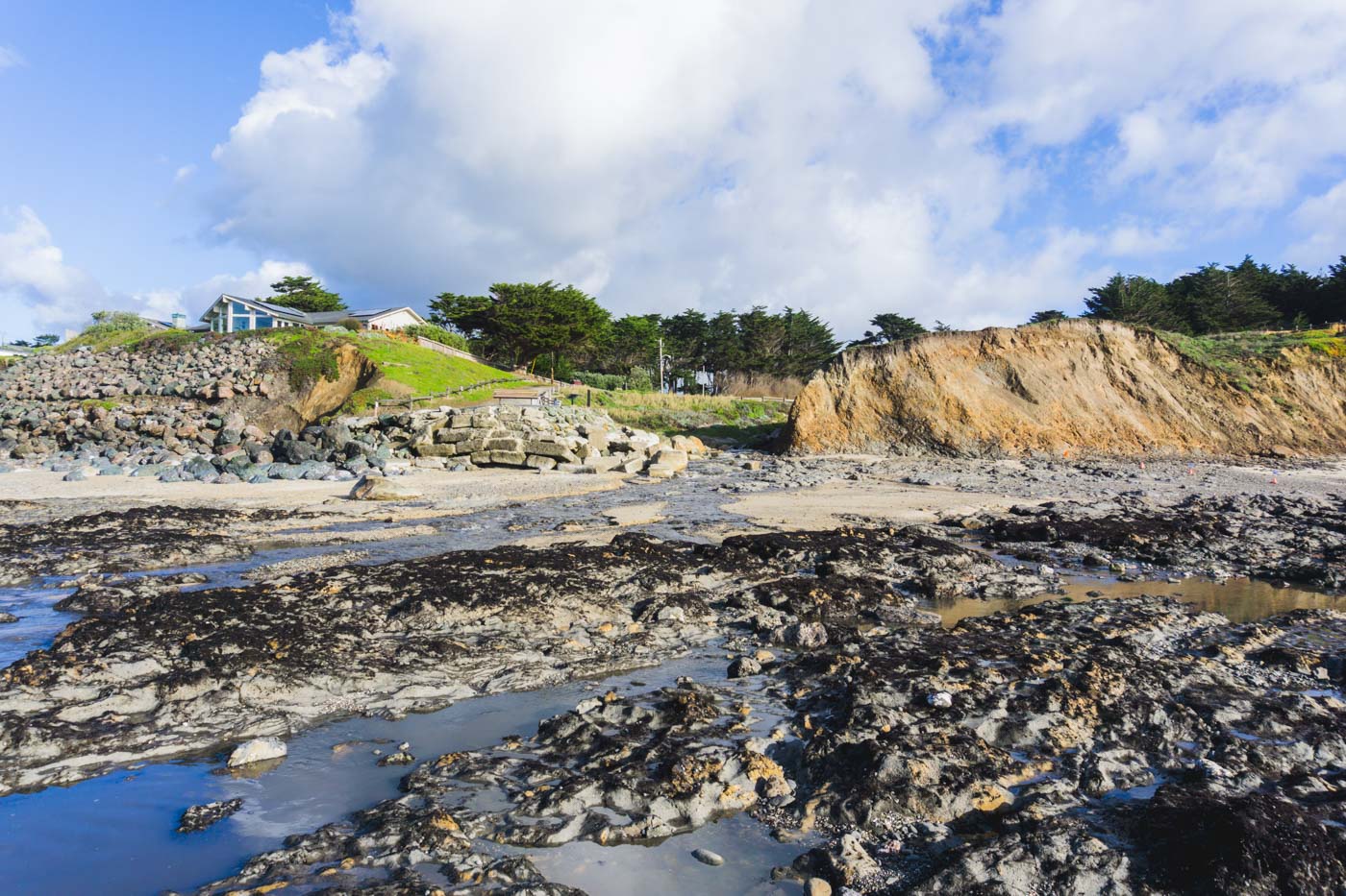 Rocky tide pools at Fitzgerald Marine Reserve in Moss Beach, California