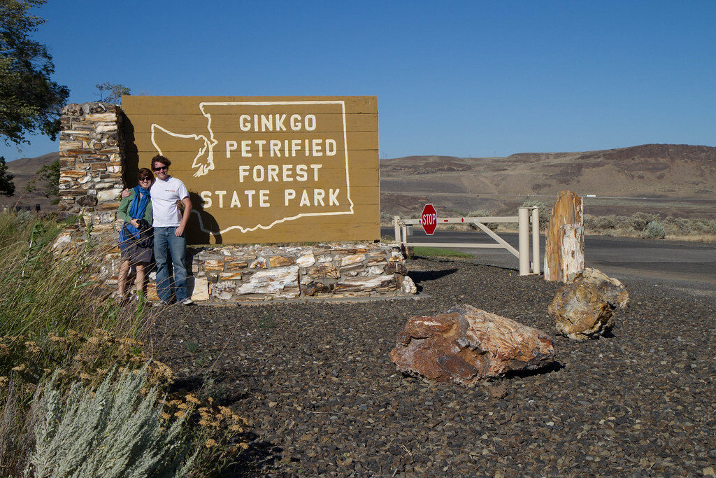 Petrified wood at Ginkgo Petrified Forest State Park, Washington