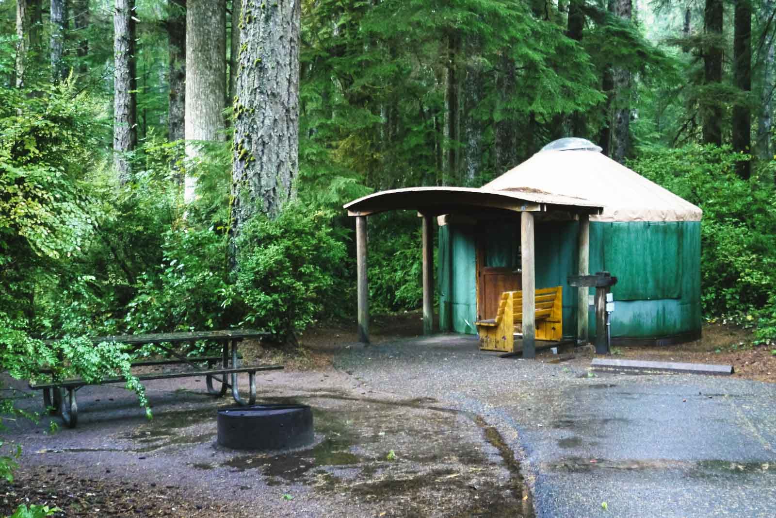 Yurt rental in the forest at Jessie M. Honeyman State Memorial Park on the Oregon Coast