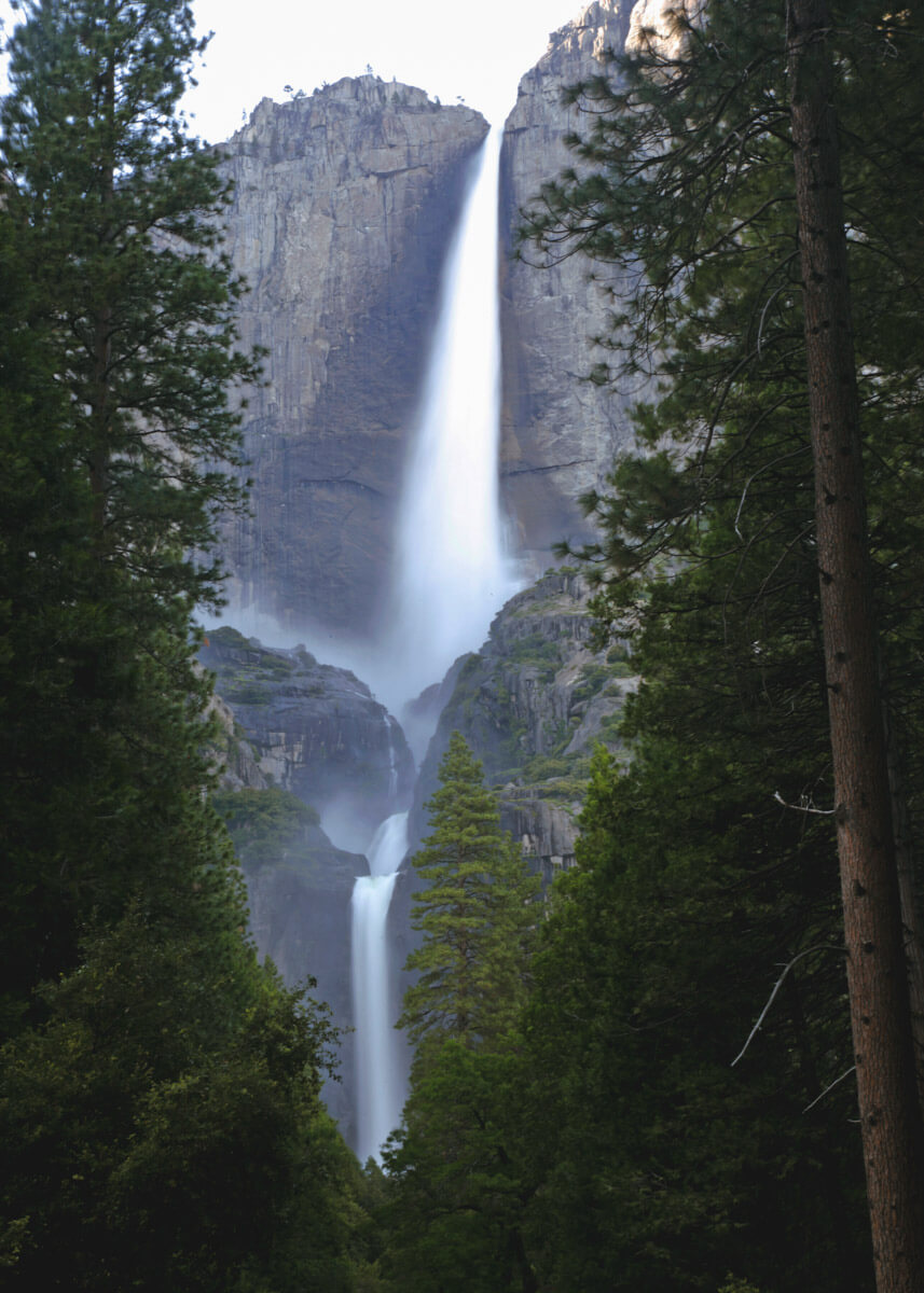 Yosemite Falls framed by trees in Yosemite National Park, California